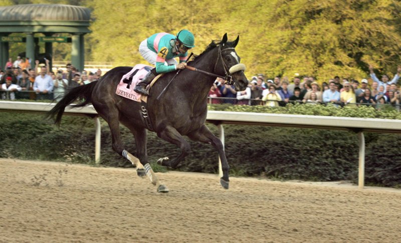 Zenyatta running on track with rail in background.