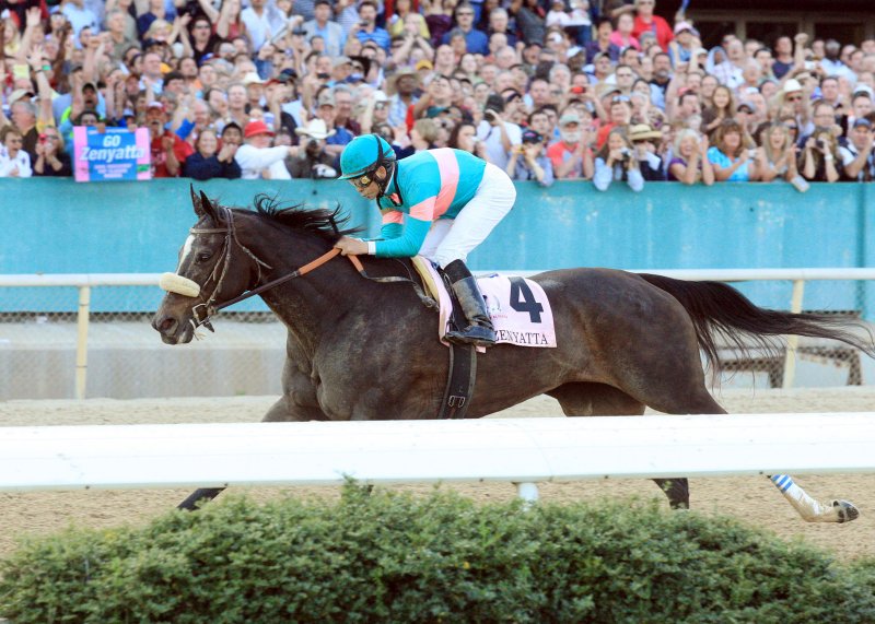 Zenyatta picture from inside of the track.