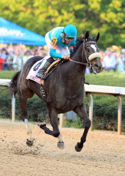 Zenyatta in full gallop with her jockey.