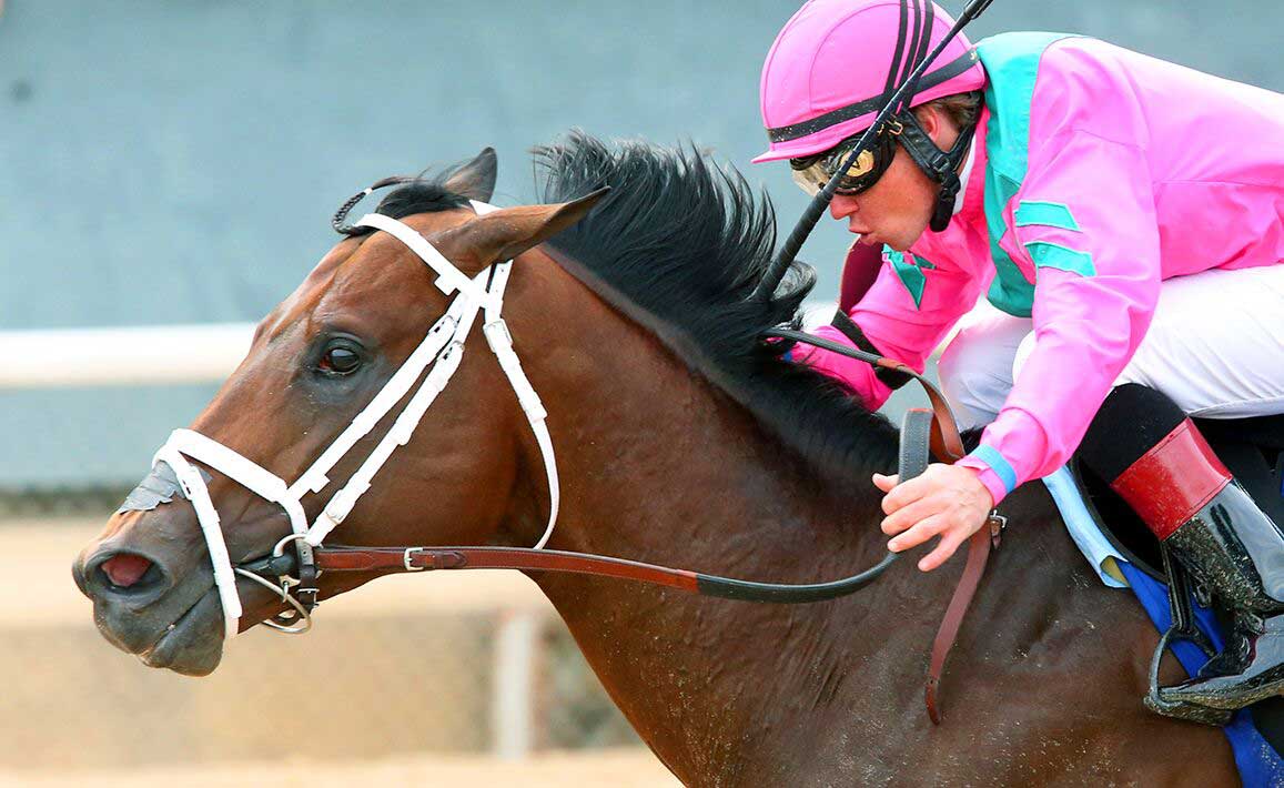 Racing Image of City of Light