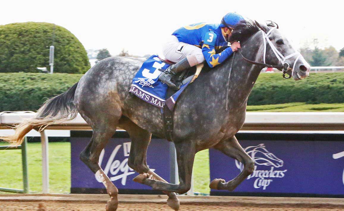 Image of Liams Map Racing