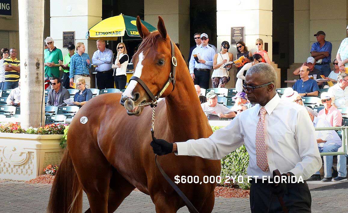 Image of Mineshaft 2 Year Old