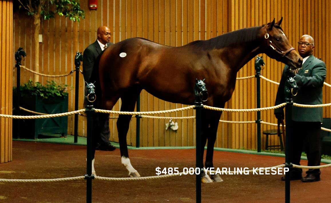 Image of Mineshaft Yearling