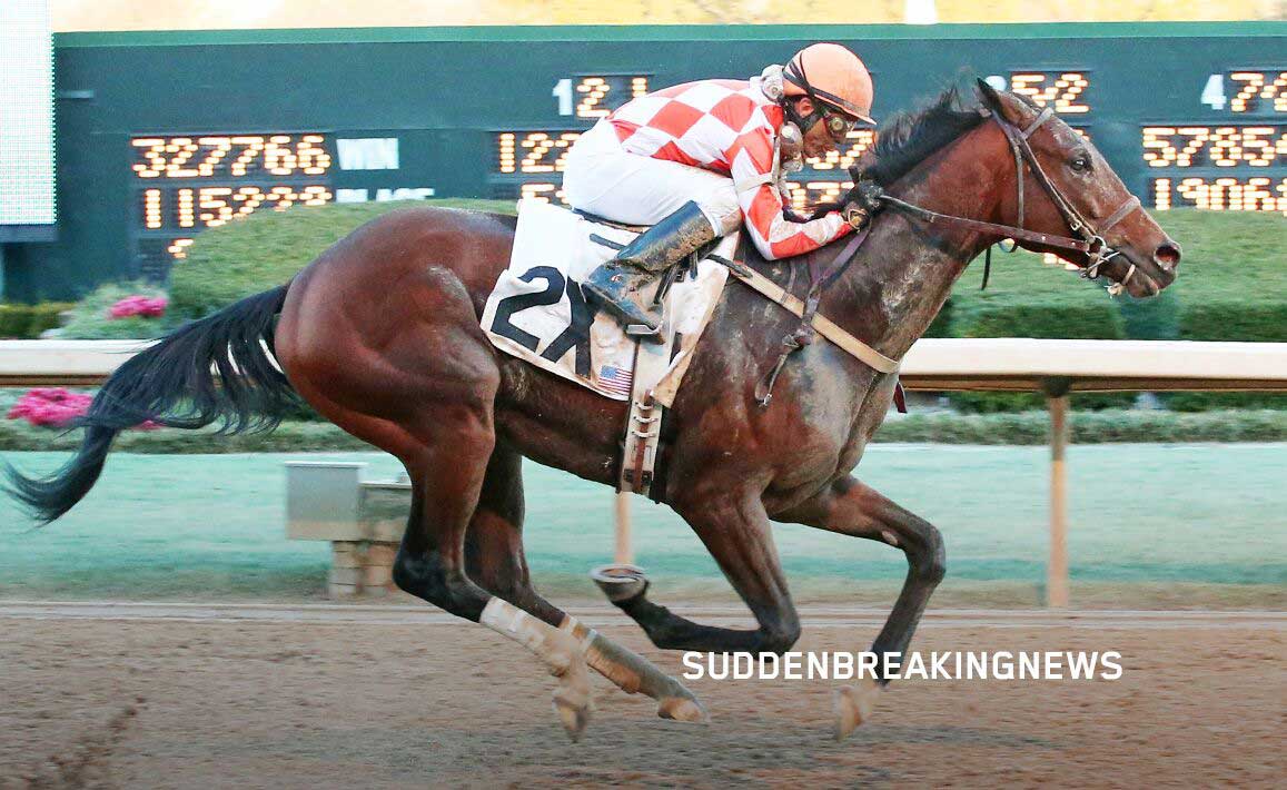 Image of Suddenbreakingnews Racing