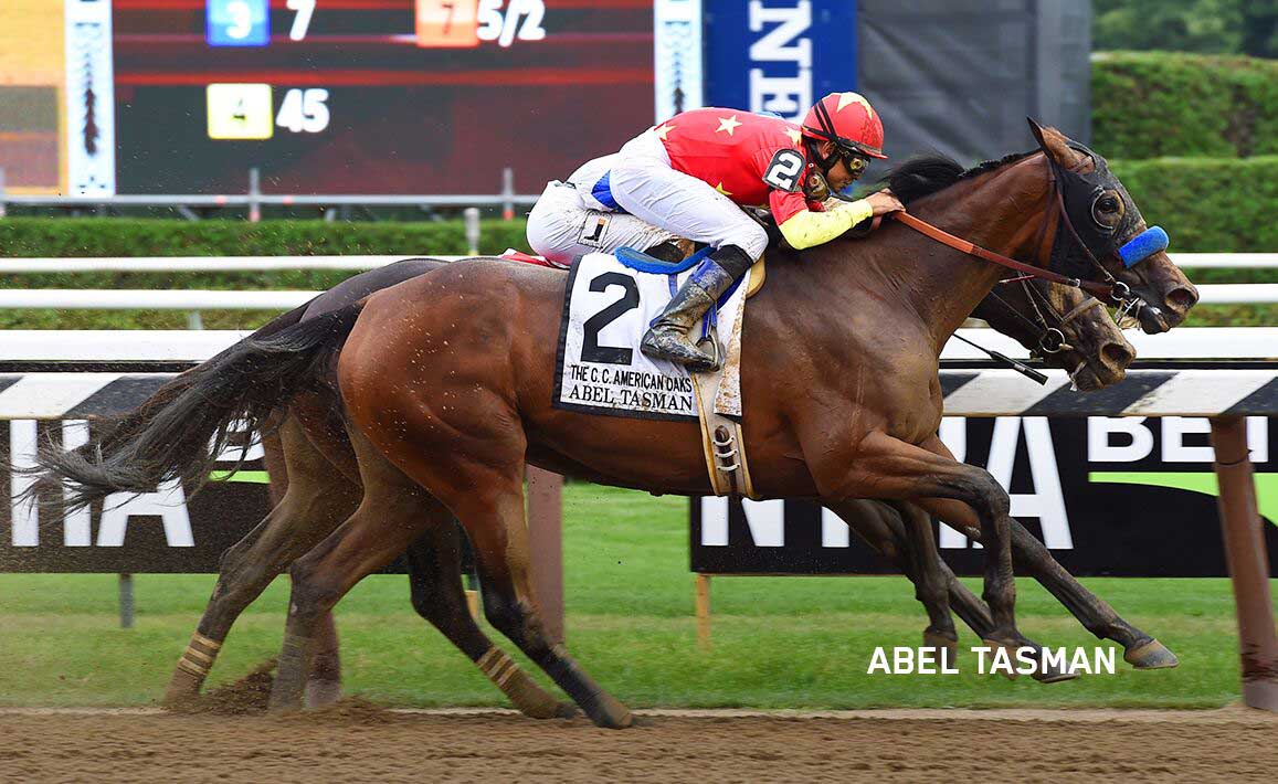 Racing Image of Abel Tasman