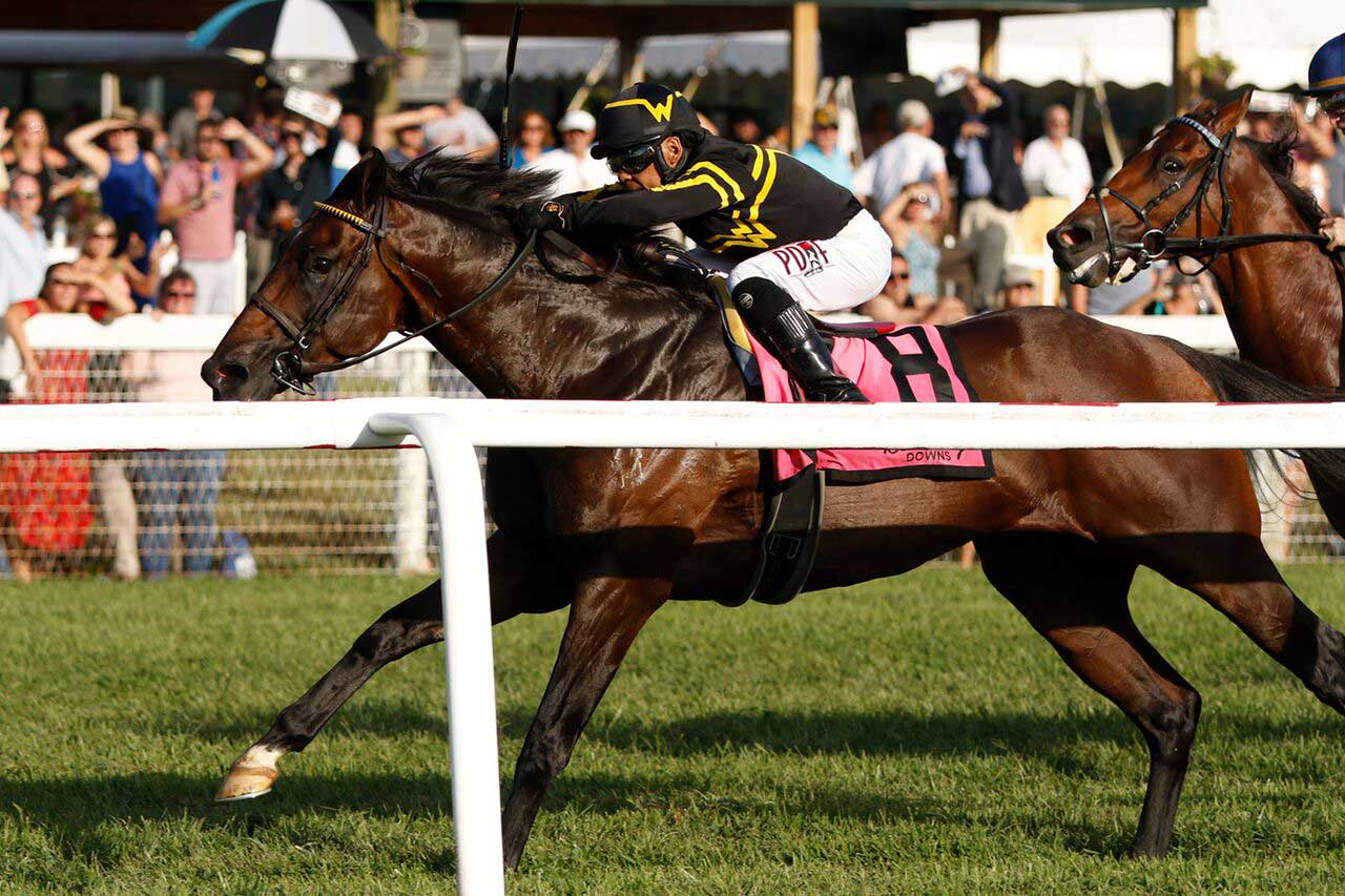 Racing image of Bound for Nowhere