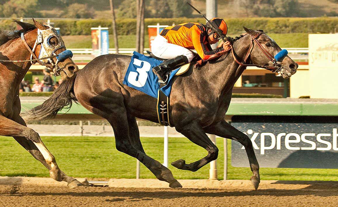 Racing Image of The Factor