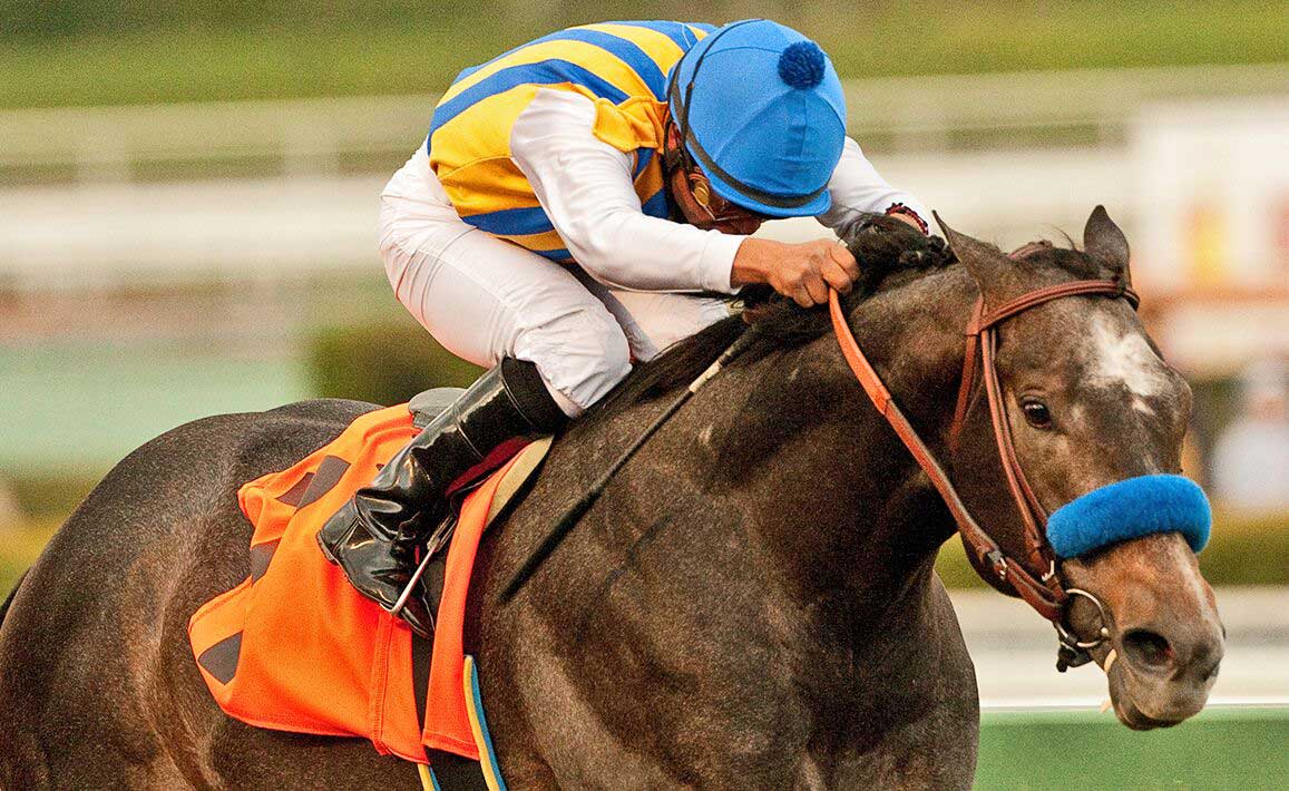 Racing Image of The Factor