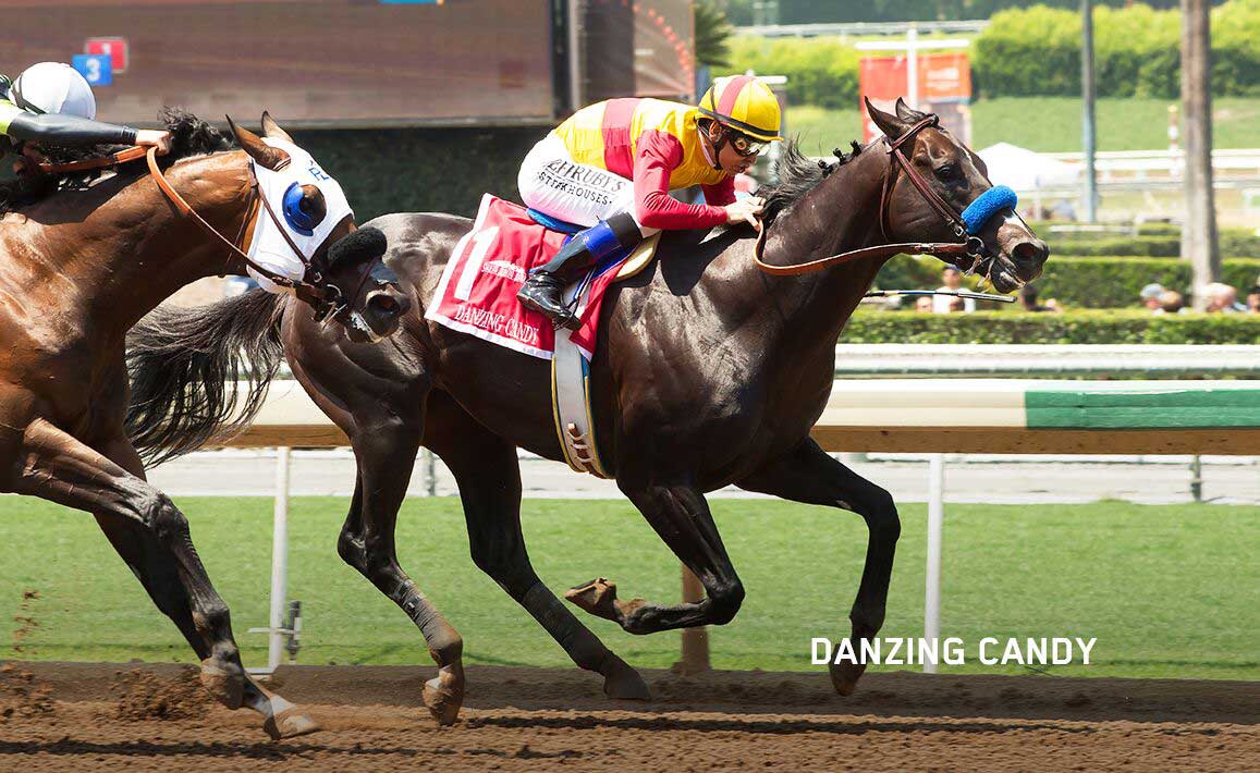 Racing Image of Danzing Candy