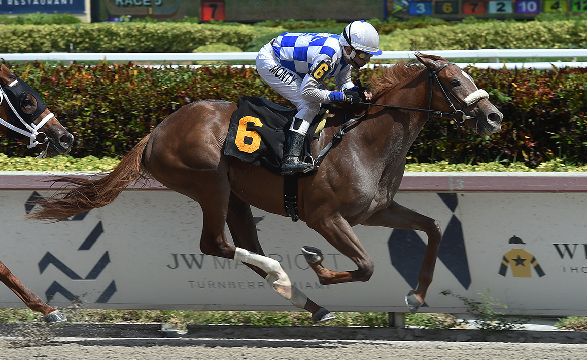 Racing Image of Tonalist's Shape