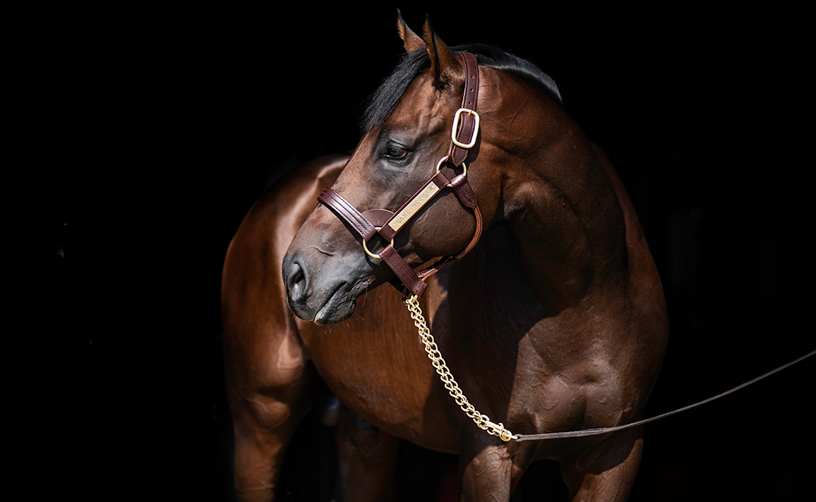 Image of Game Winner