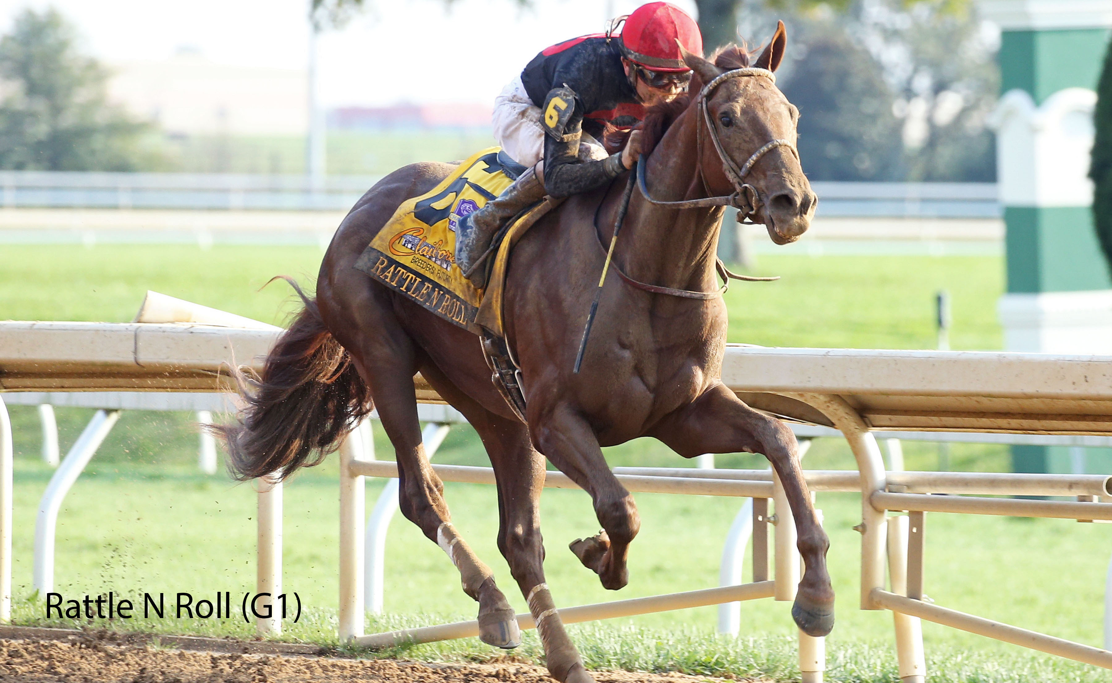 Racing image of Rattle N Roll