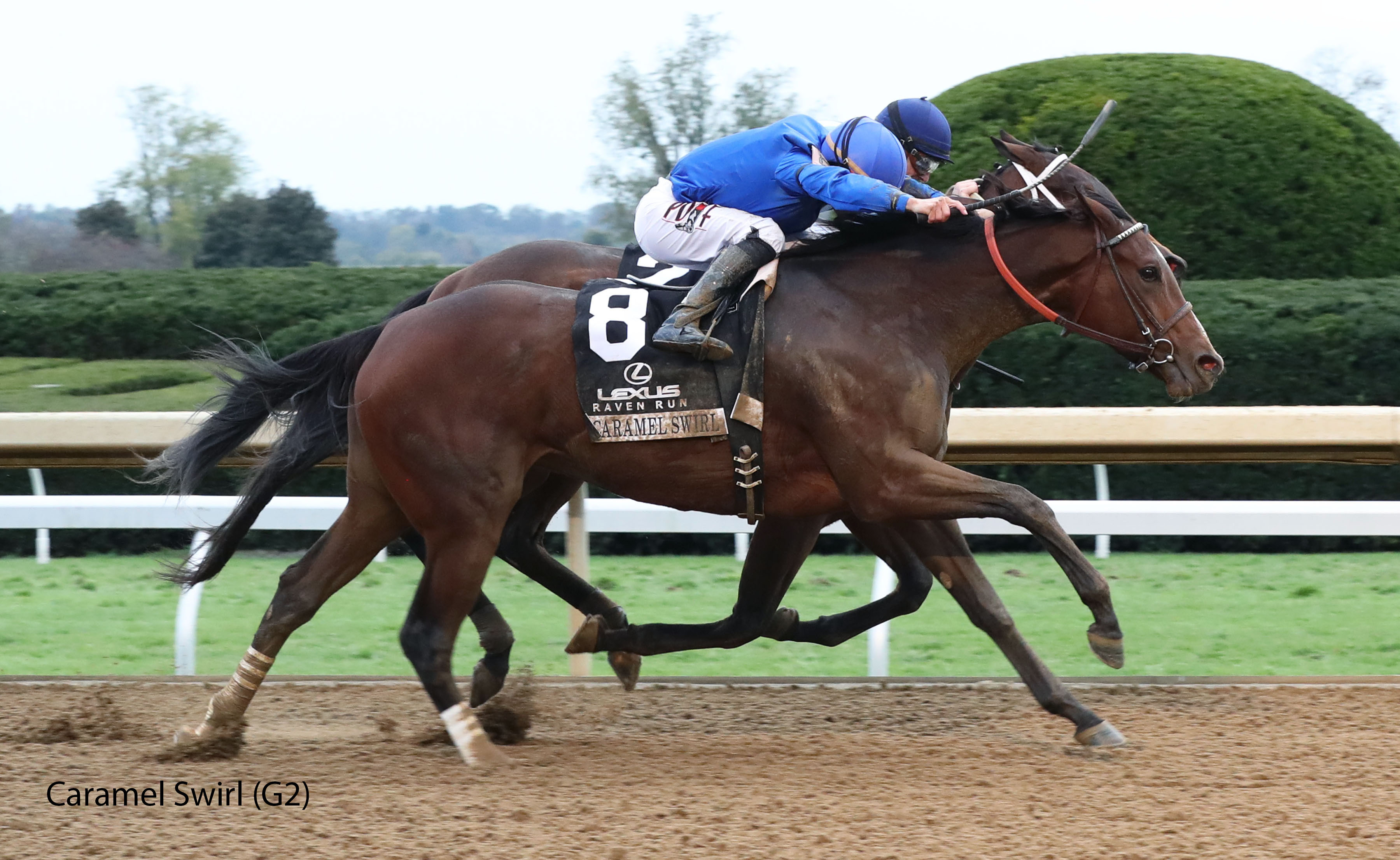 Racing image of Caramel Swirl