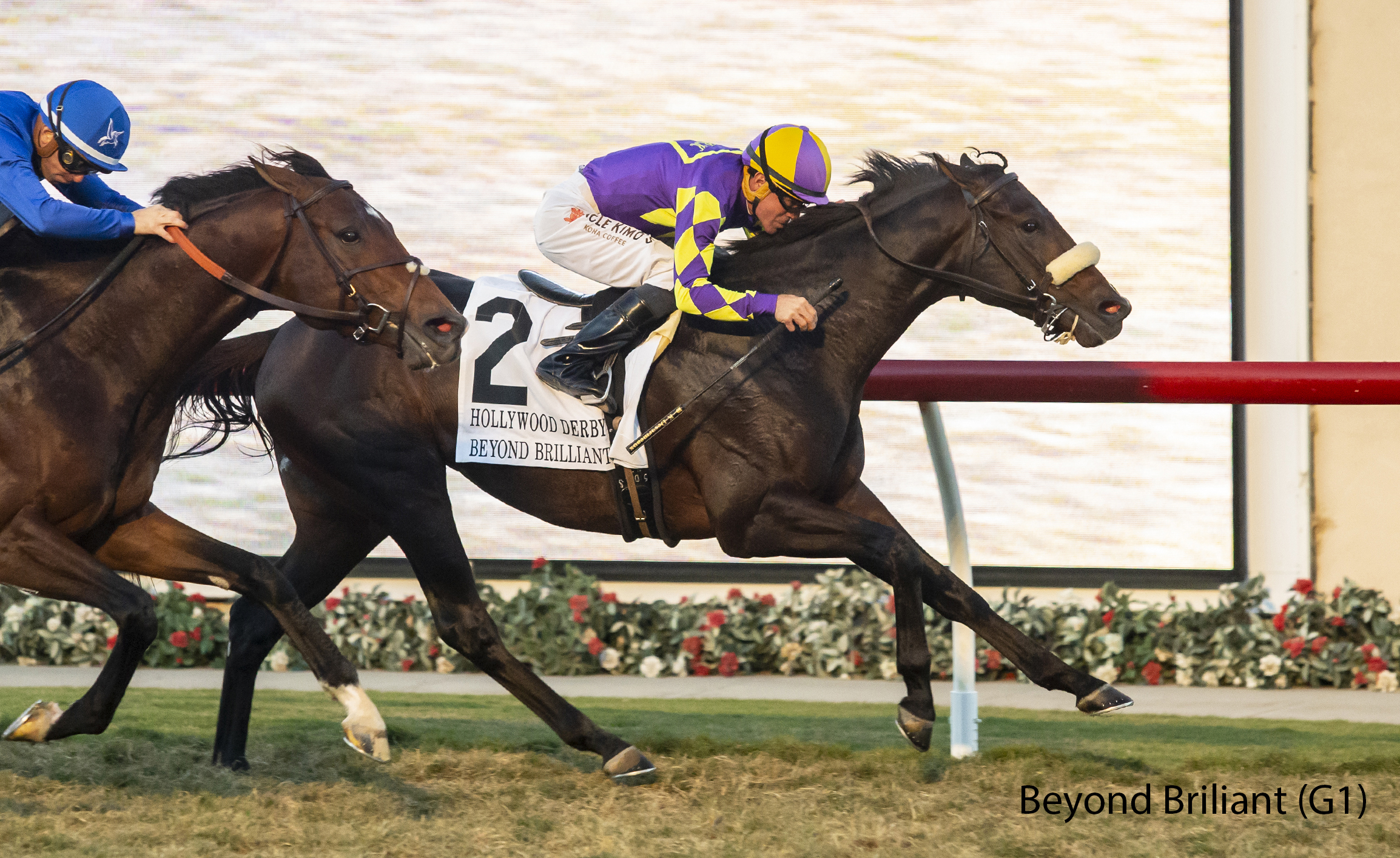 Racing image of Beyond Brilliant