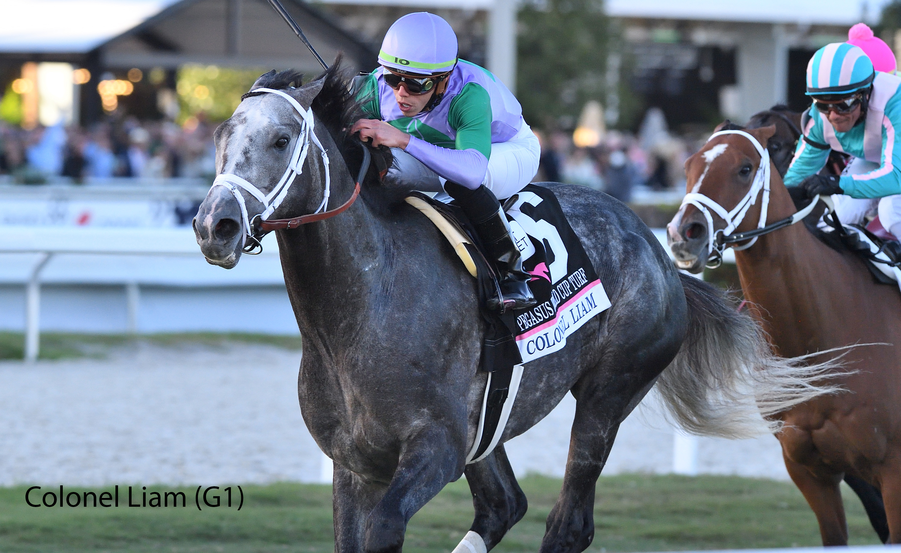 Racing Image of Colonel Liam