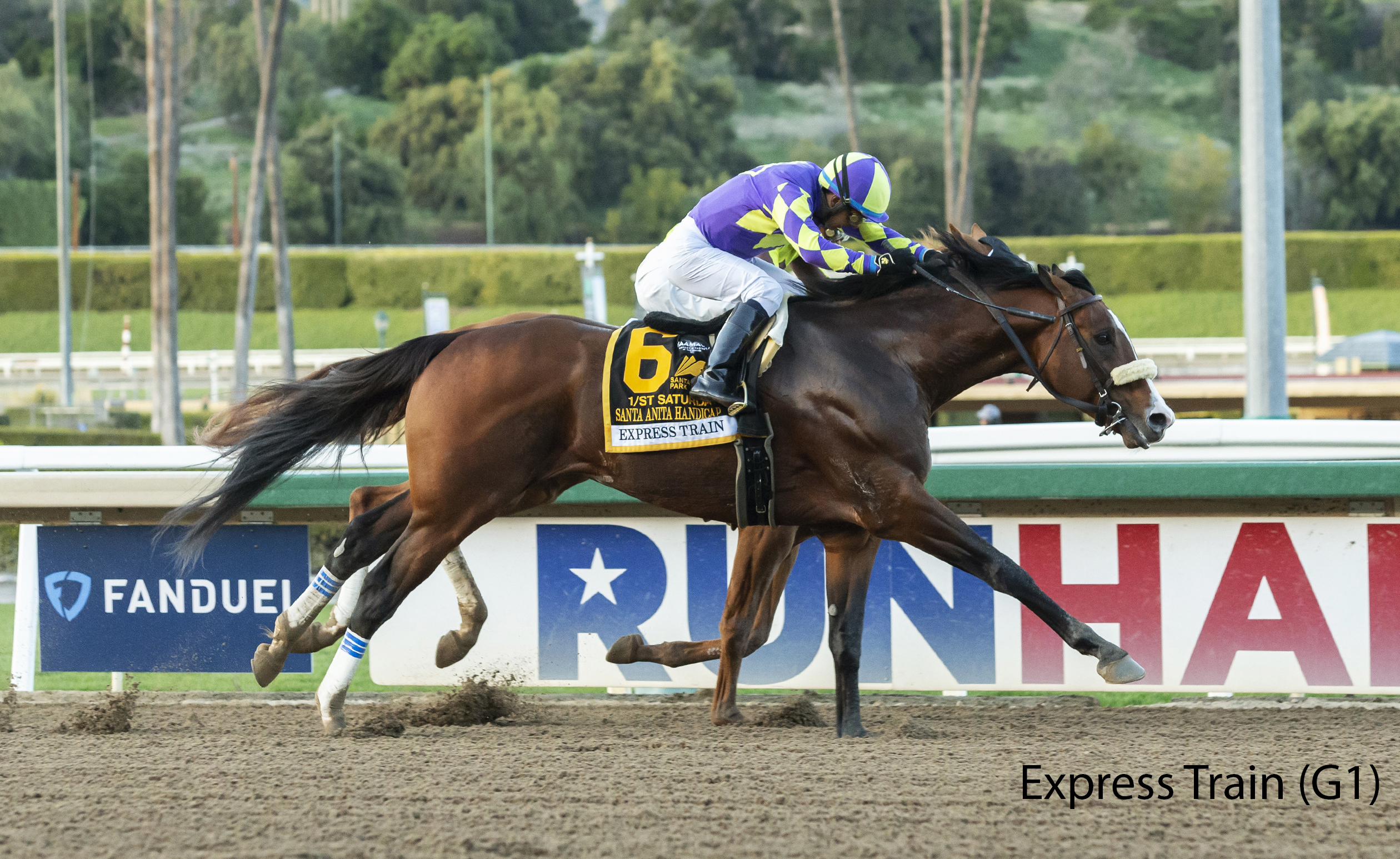 Racing image of Express Train