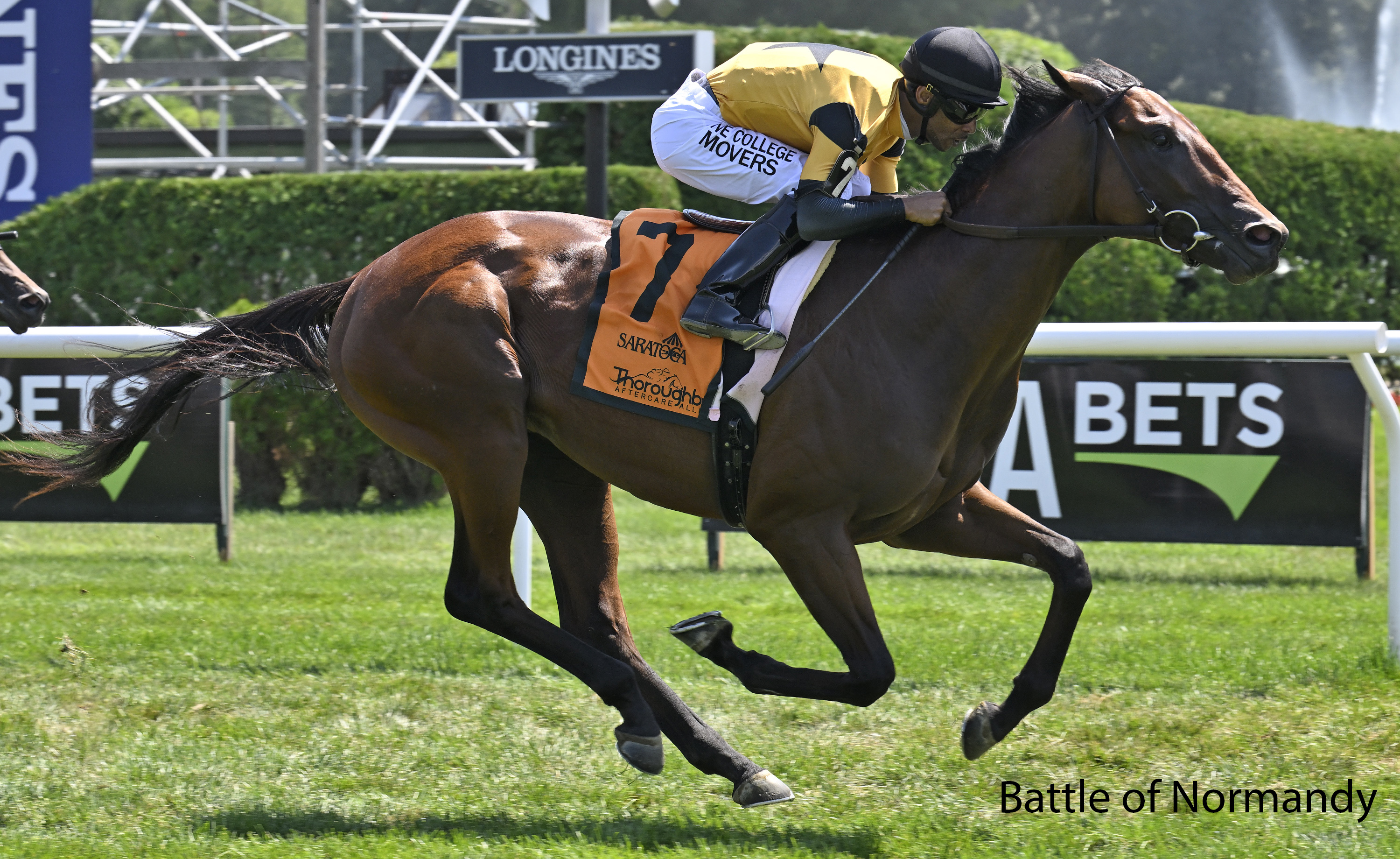 Racing image of Battle of Normandy