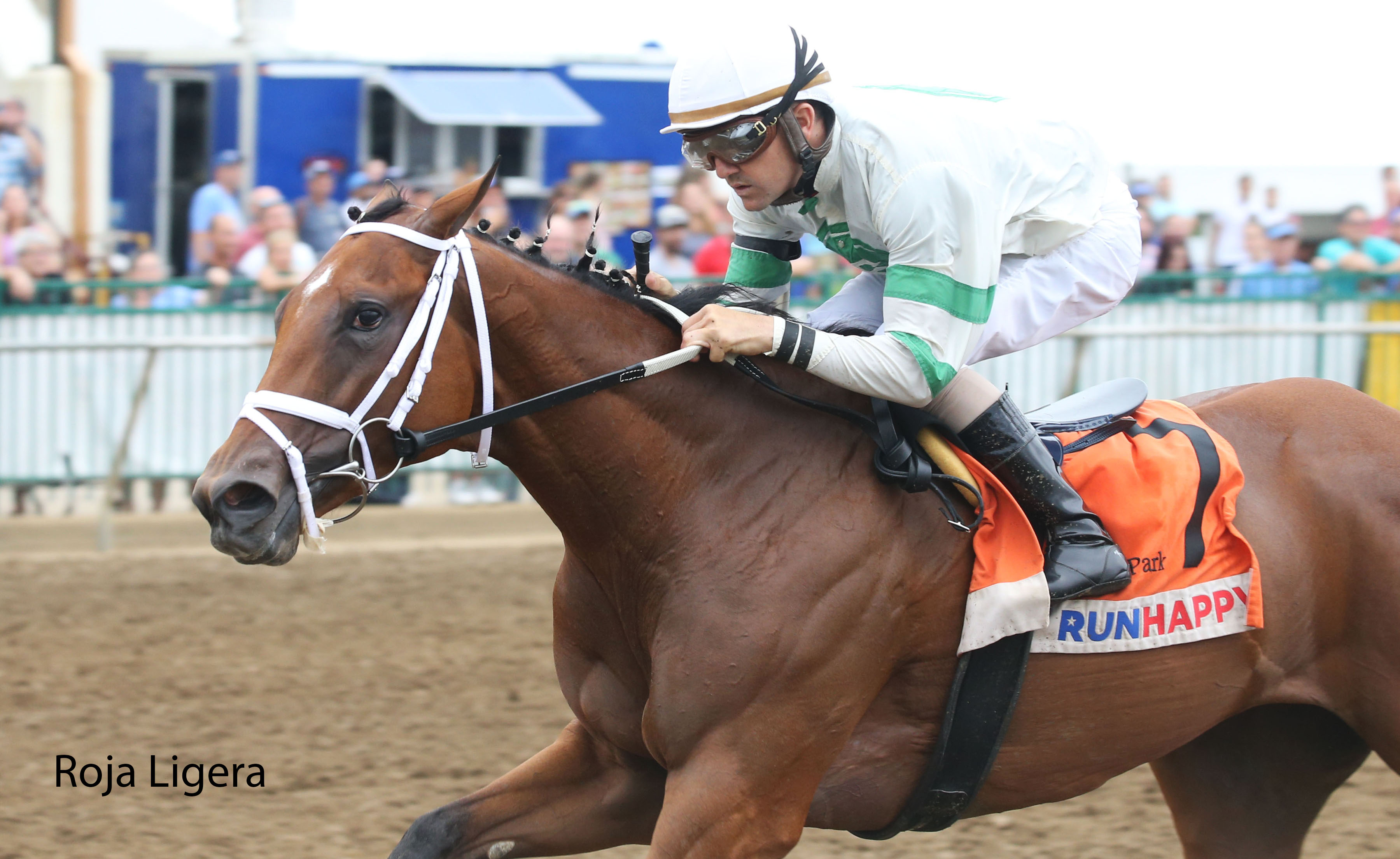 Racing image of Roja Ligera