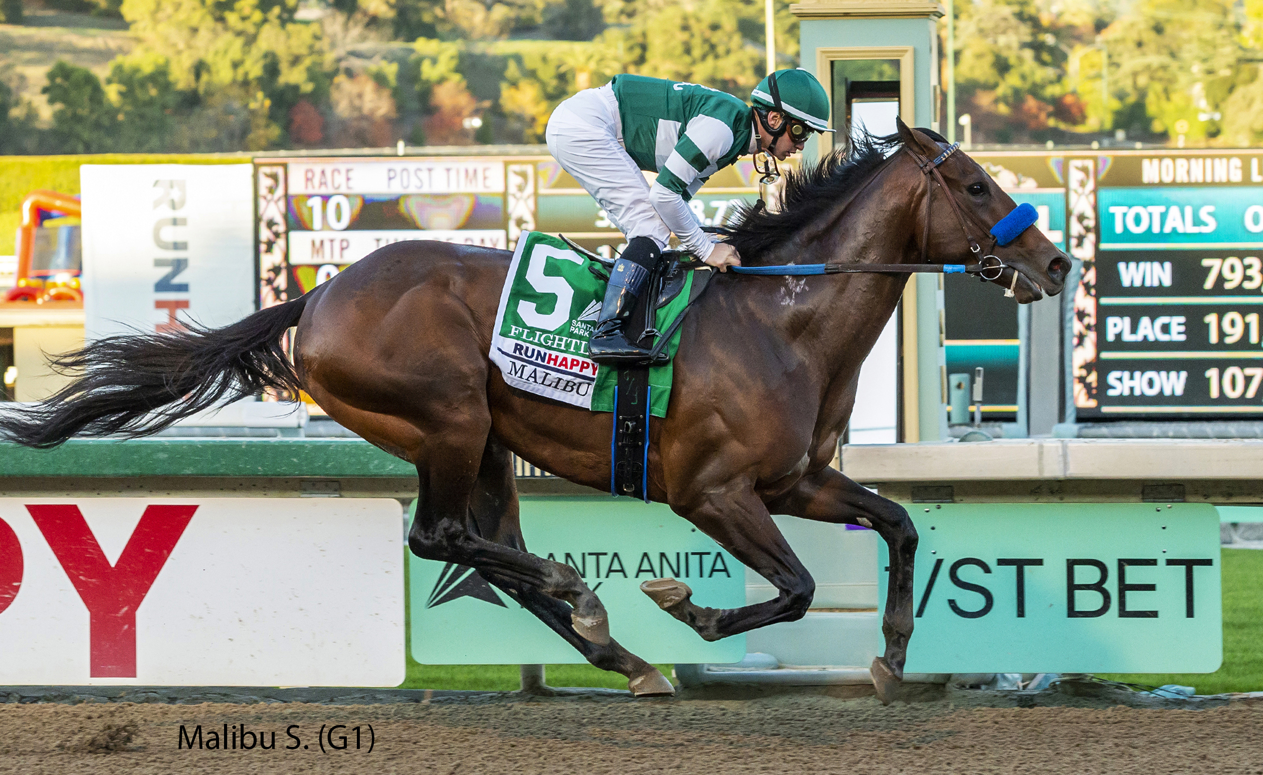 Malibu image of Flightline