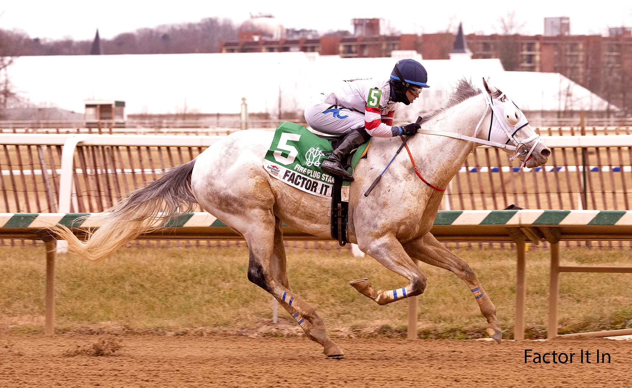 racing image of Factor It In