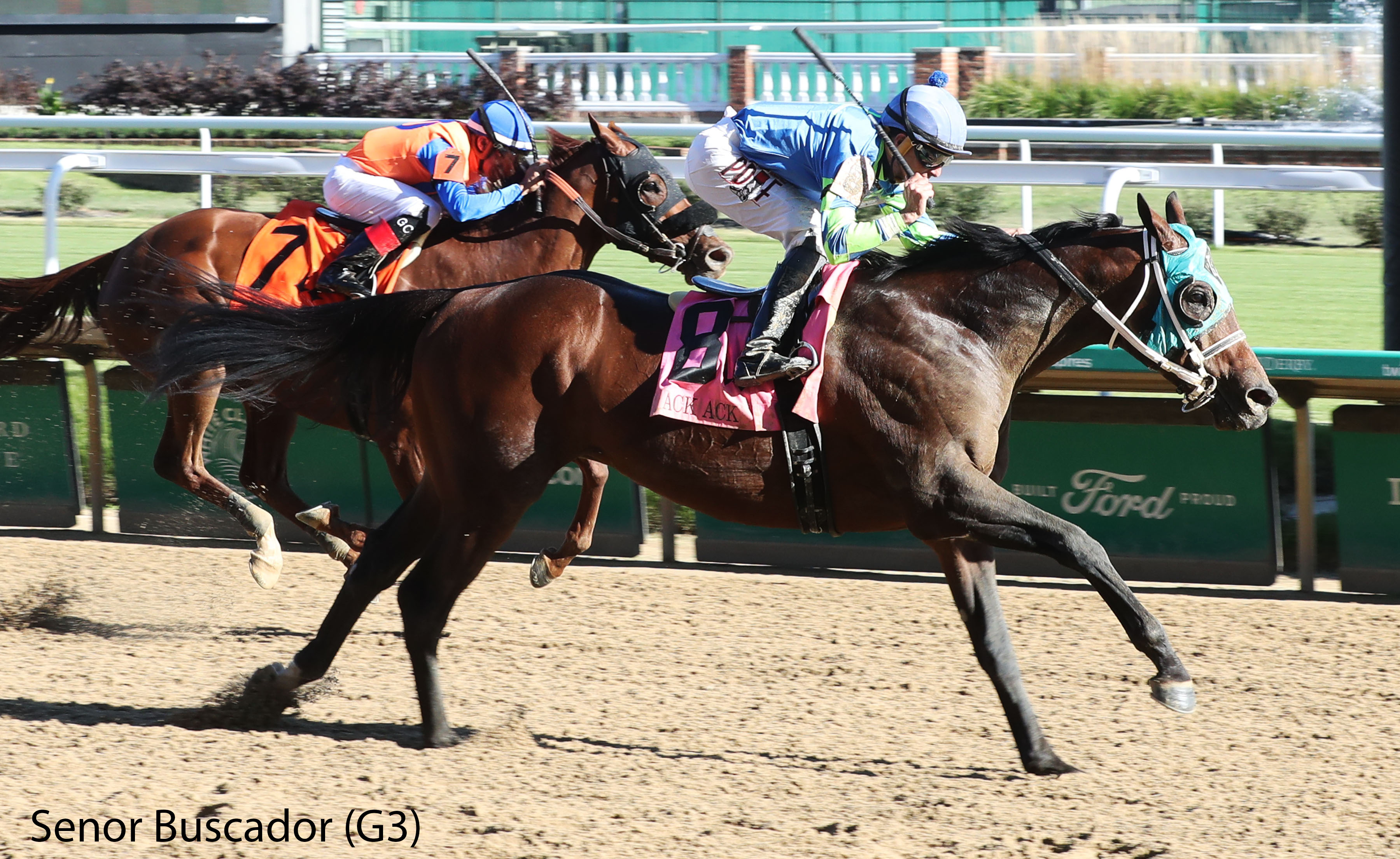 racing image of Senor Buscador