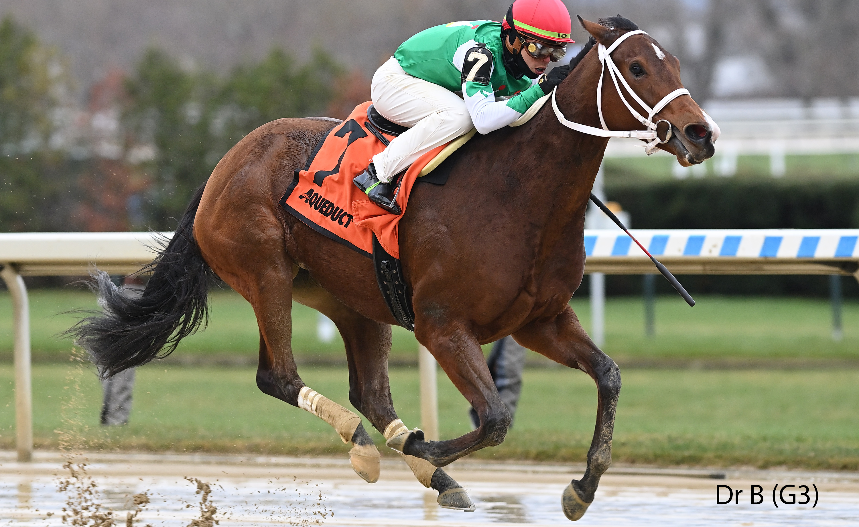 racing image of Dr B