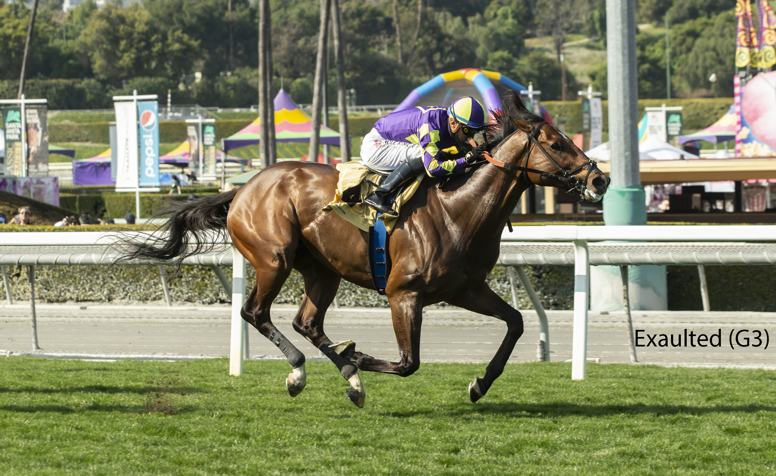 Racing image of Exaulted