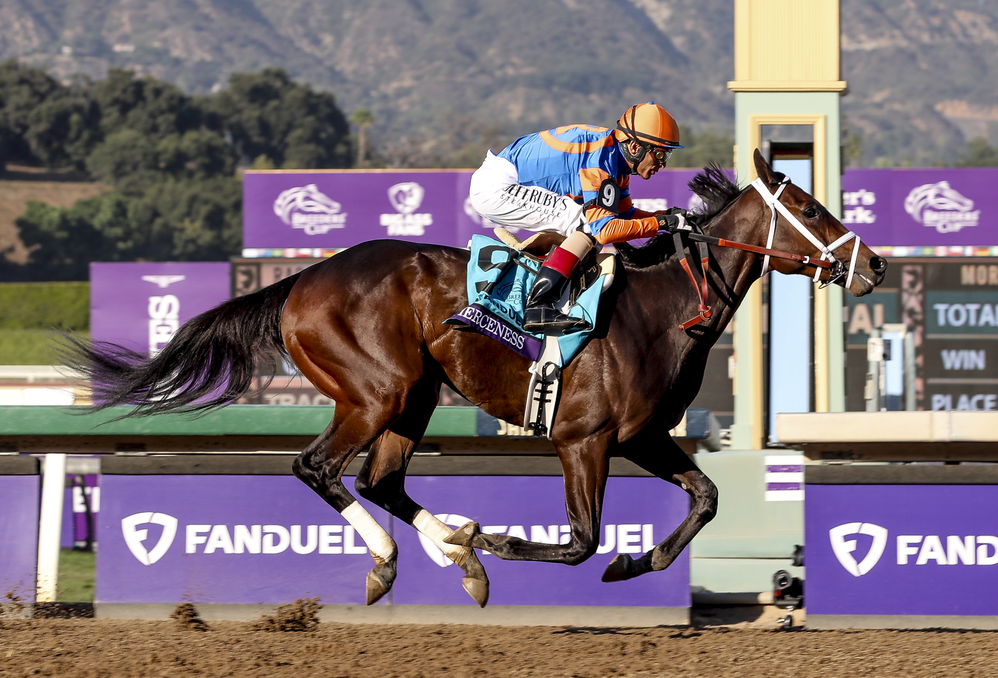 G1 Breeders' Cup Juvenile Winner Fierceness