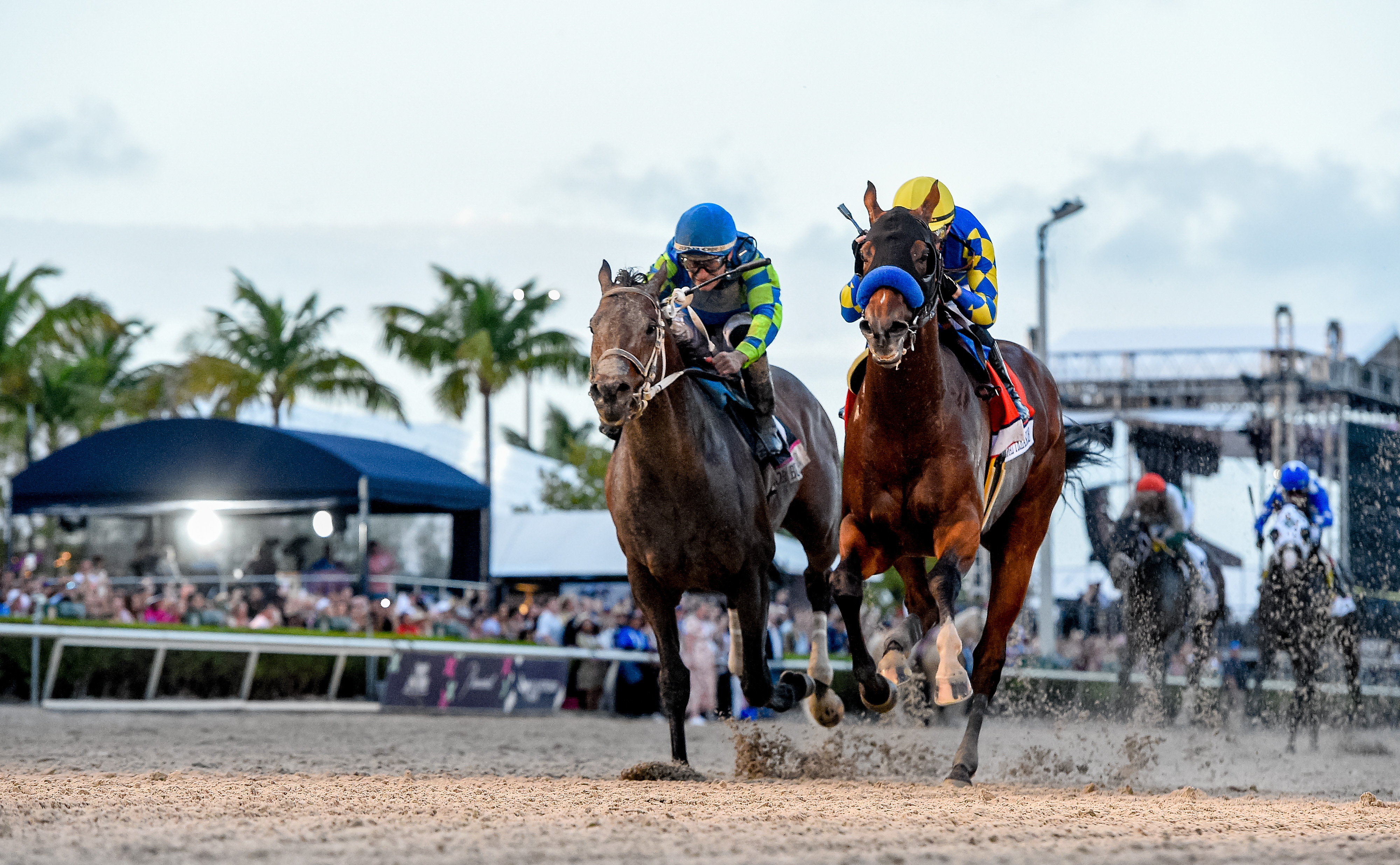 National Treasure wins the G1 Pegasus World Cup