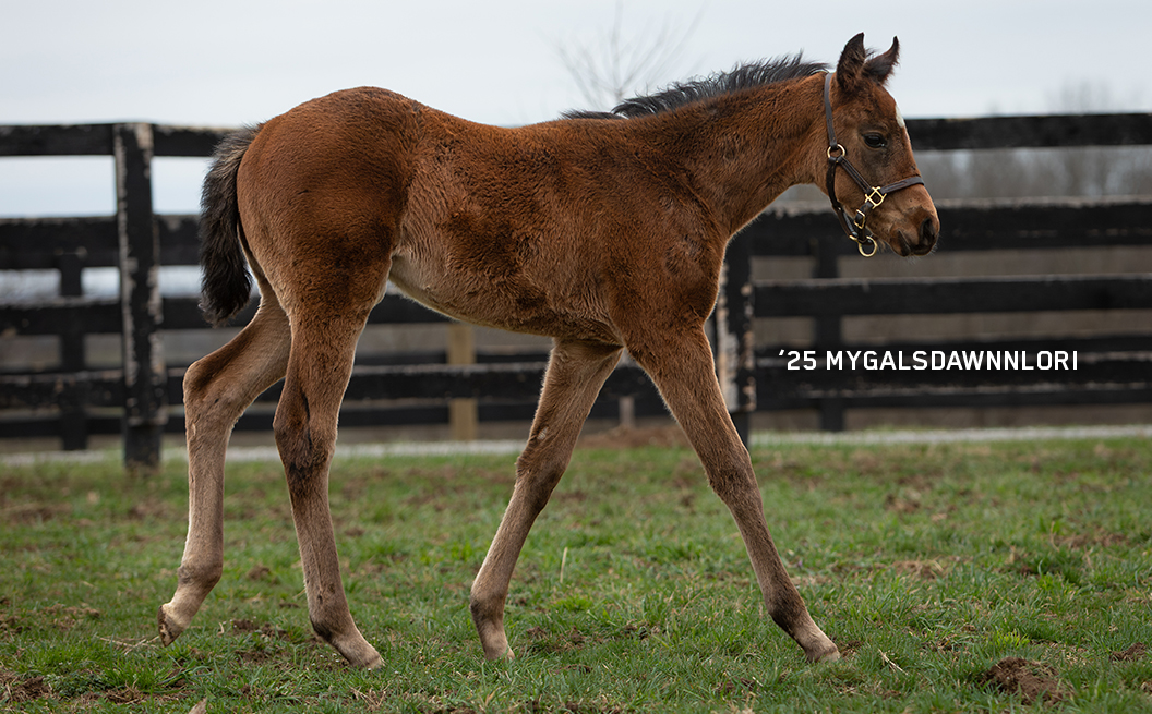 Filly out of Mygalsdawnnlori