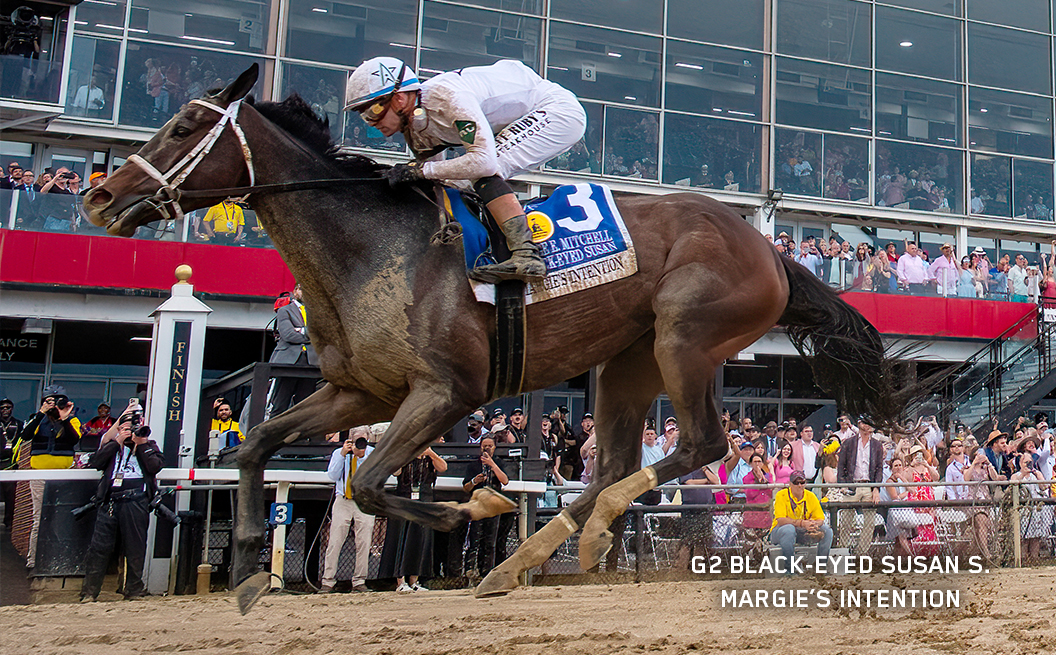 G2 Winner Margie's Intention