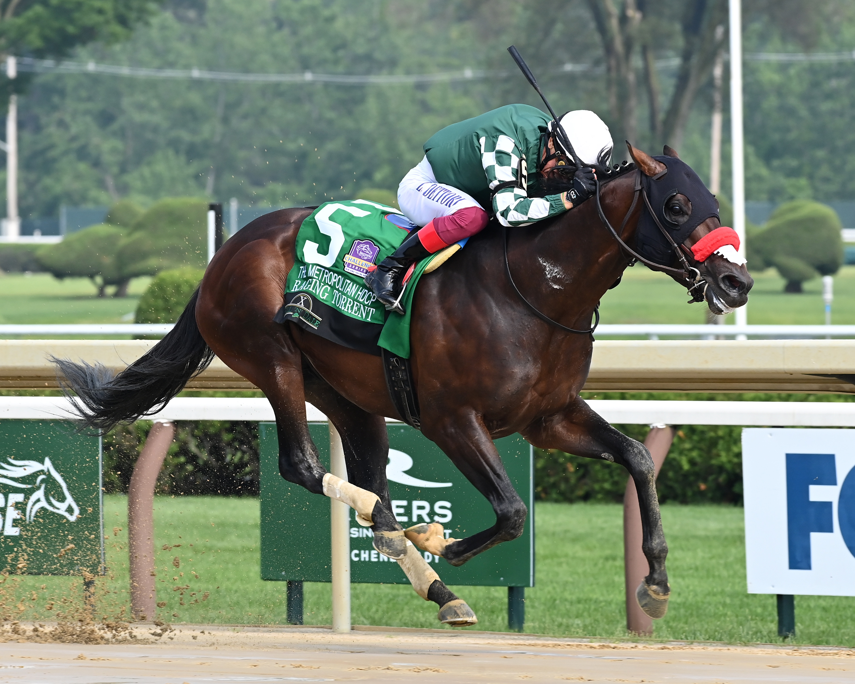 Raging Torrent Conformation Image